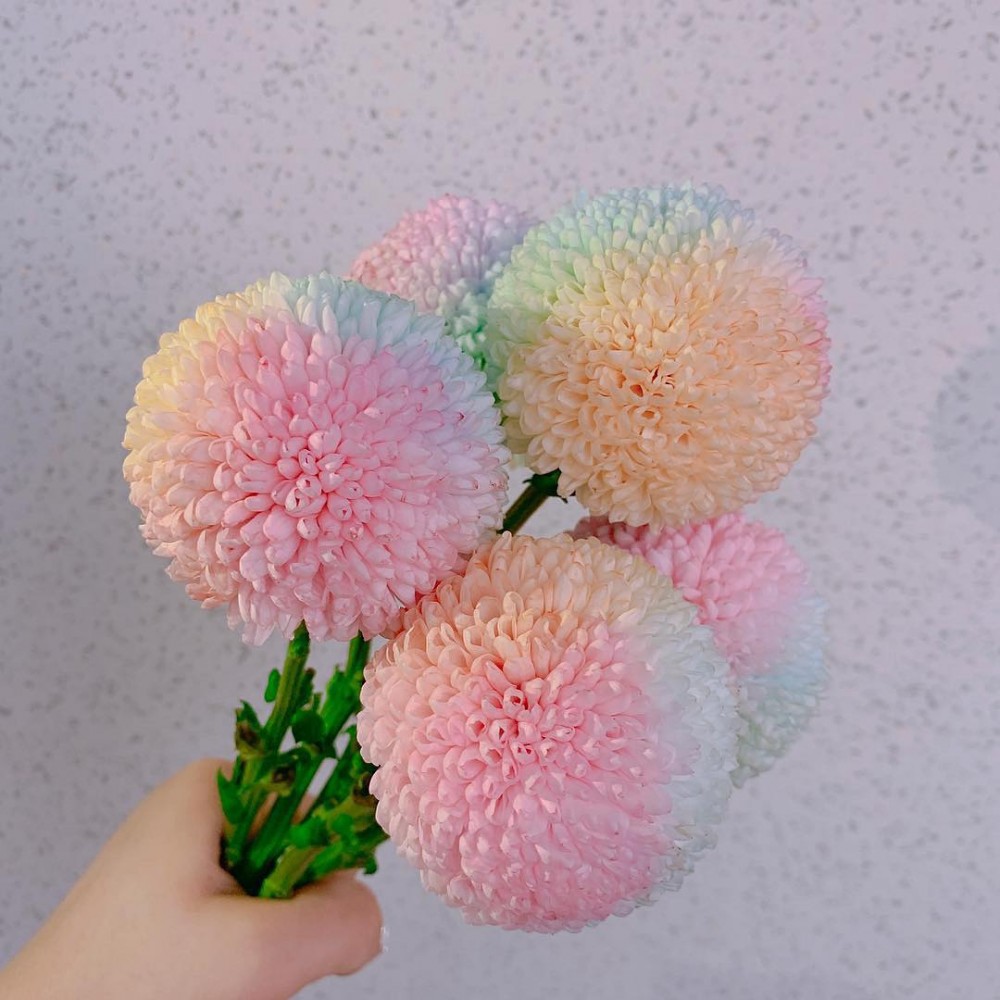 IG@jinsim_flower授權使用