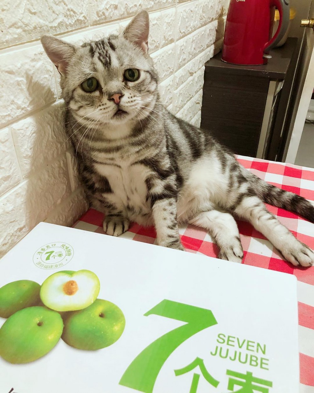 Instagram @lanlan731授權使用