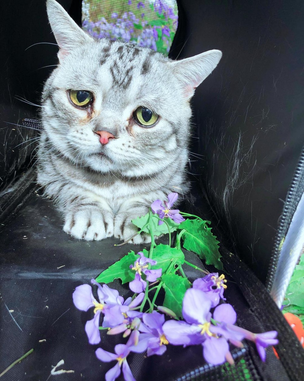 Instagram @lanlan731授權使用