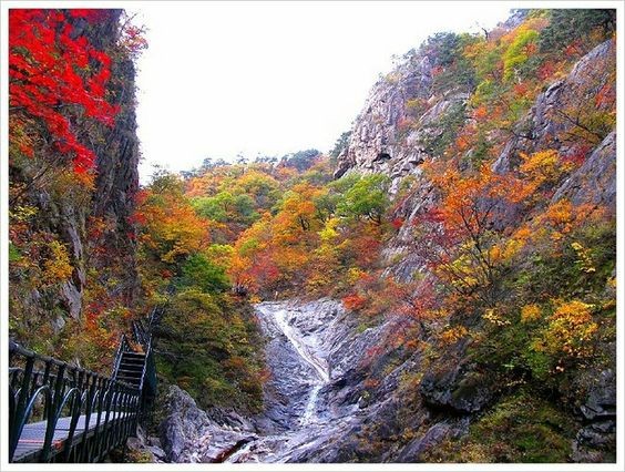 韓國雪嶽山楓葉溫泉