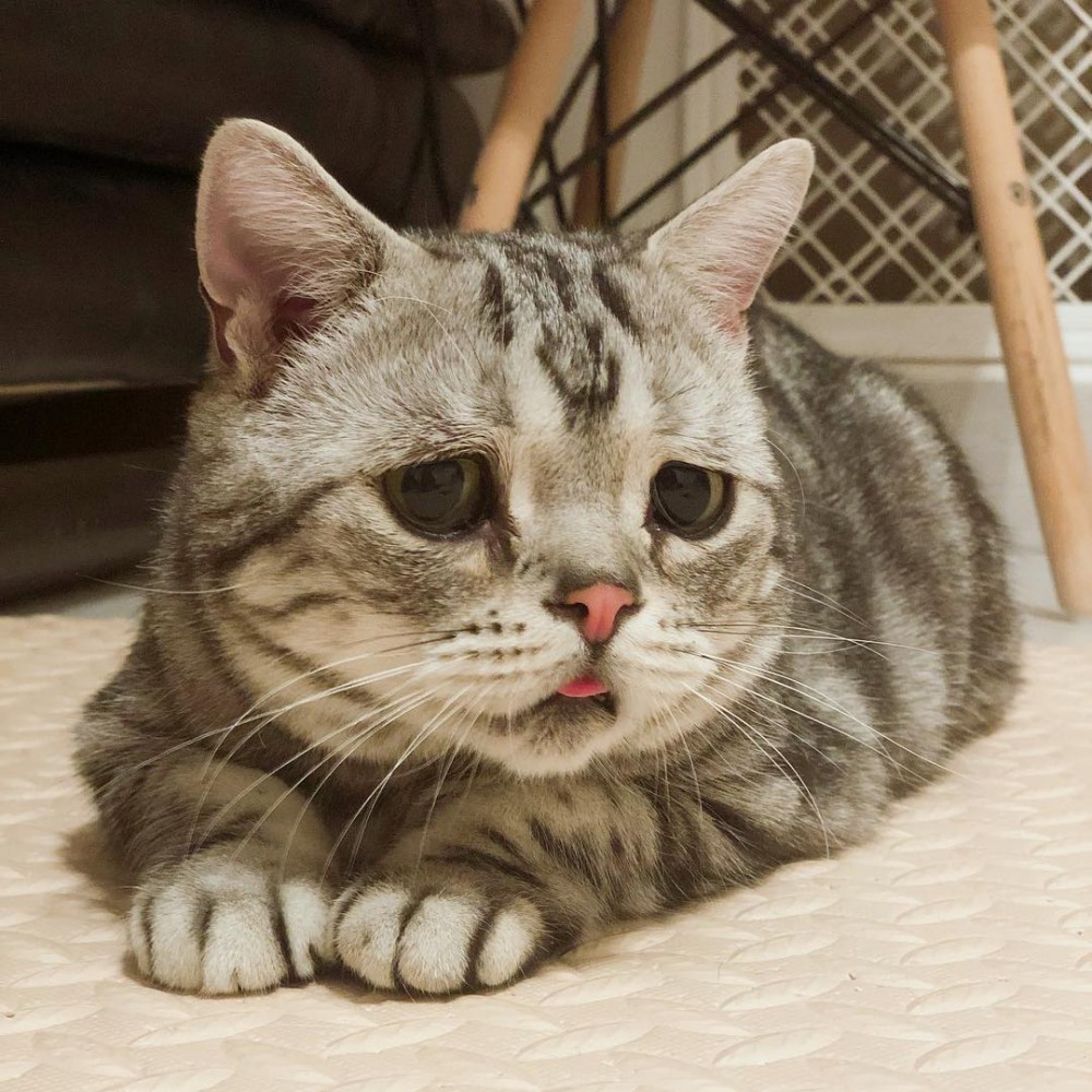 Instagram @lanlan731授權使用