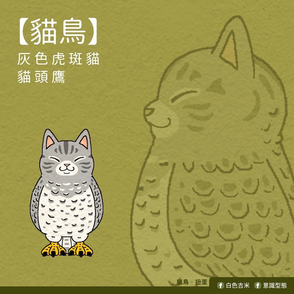 意識型態@Facebook