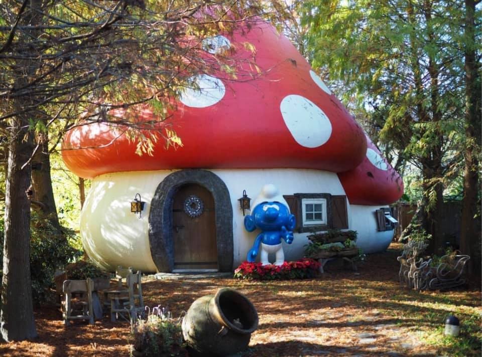 花見幸福莊園-花蓮民宿