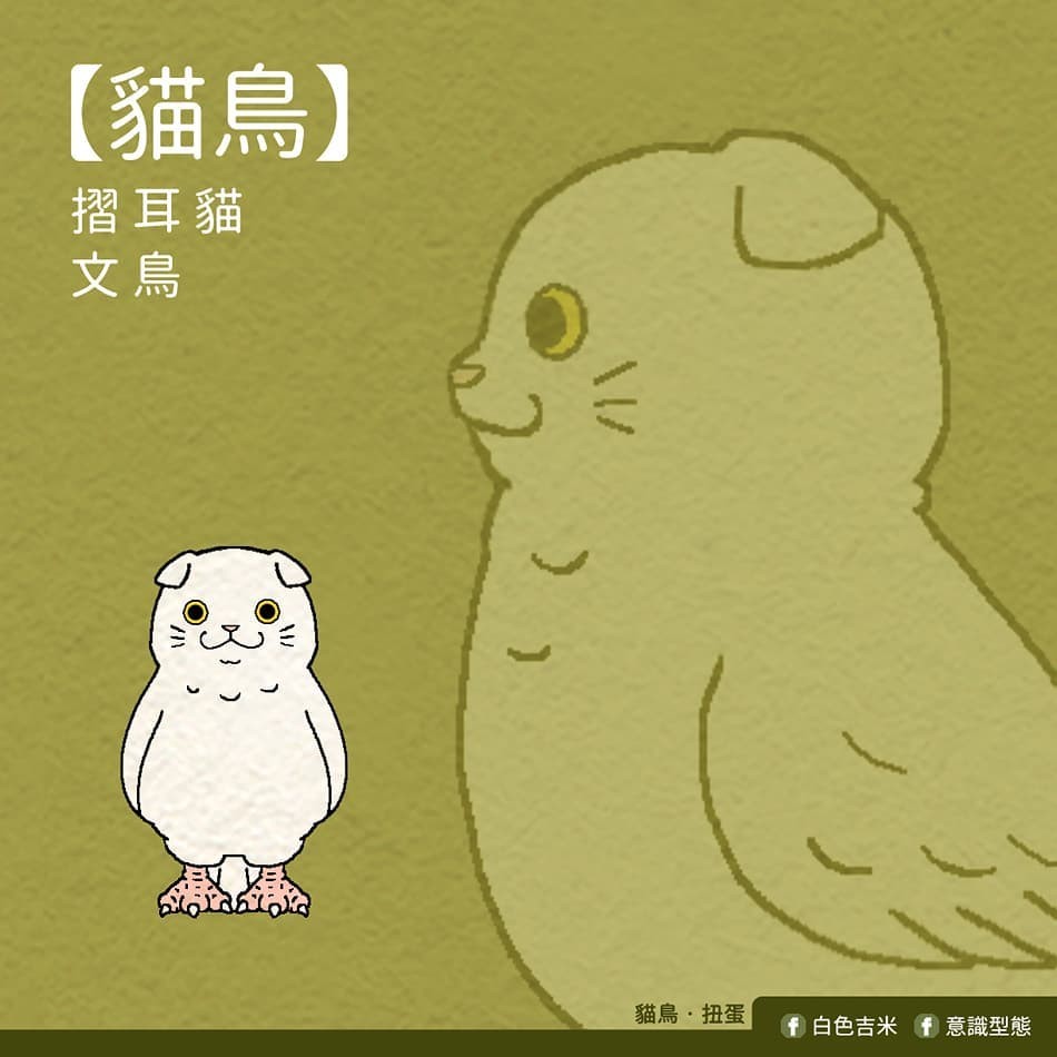 意識型態@Facebook