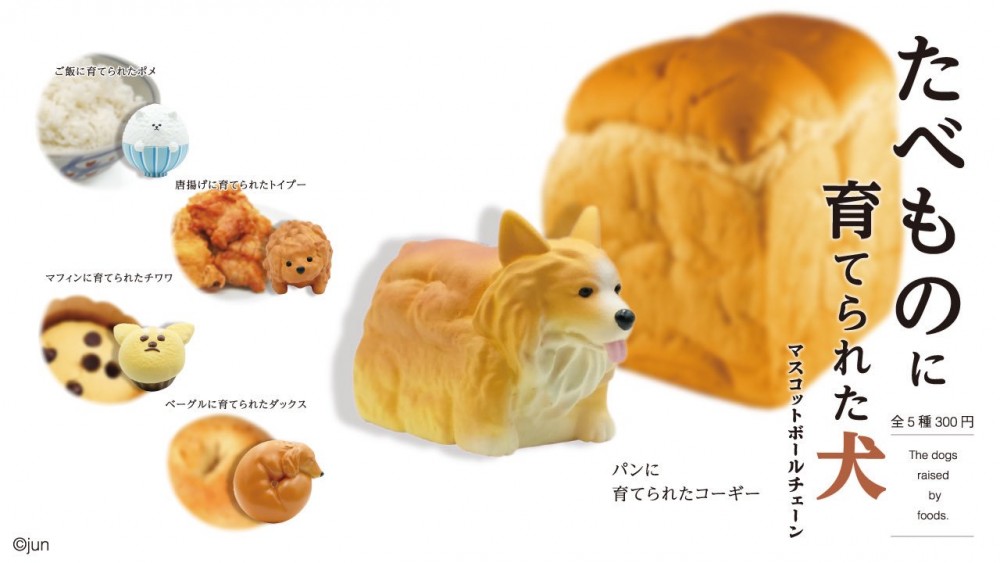 Qualia(クオリア)公式