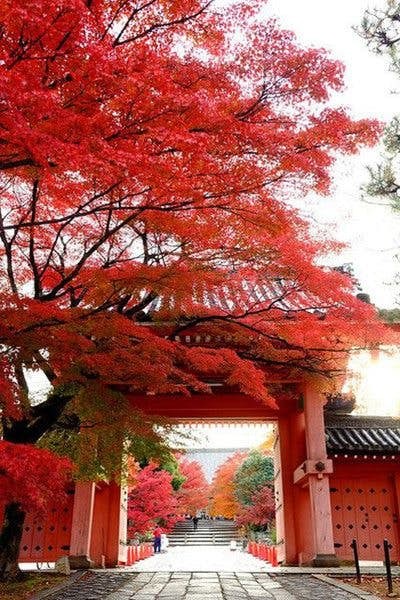 Pinterest