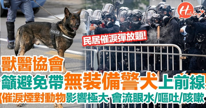 民居放催淚彈  影響警犬及寵物 香港獸醫協會對事件表示極關注