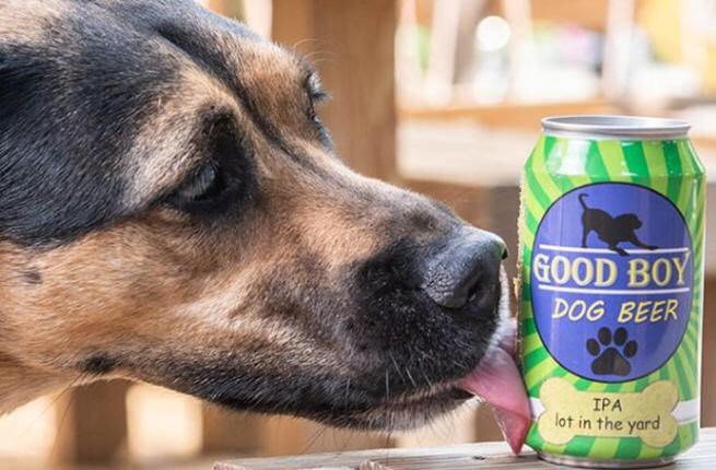 Good Boy Dog Beer