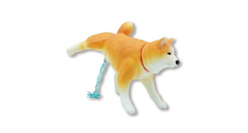 Qualia(クオリア)公式