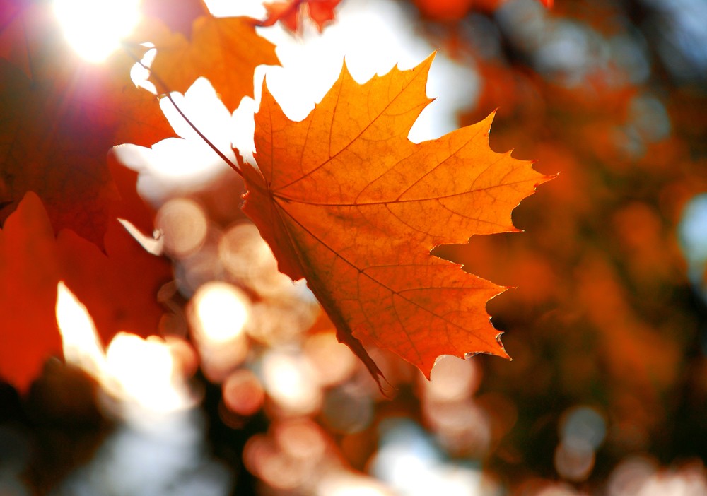 日本韓國紅葉攝影攻略