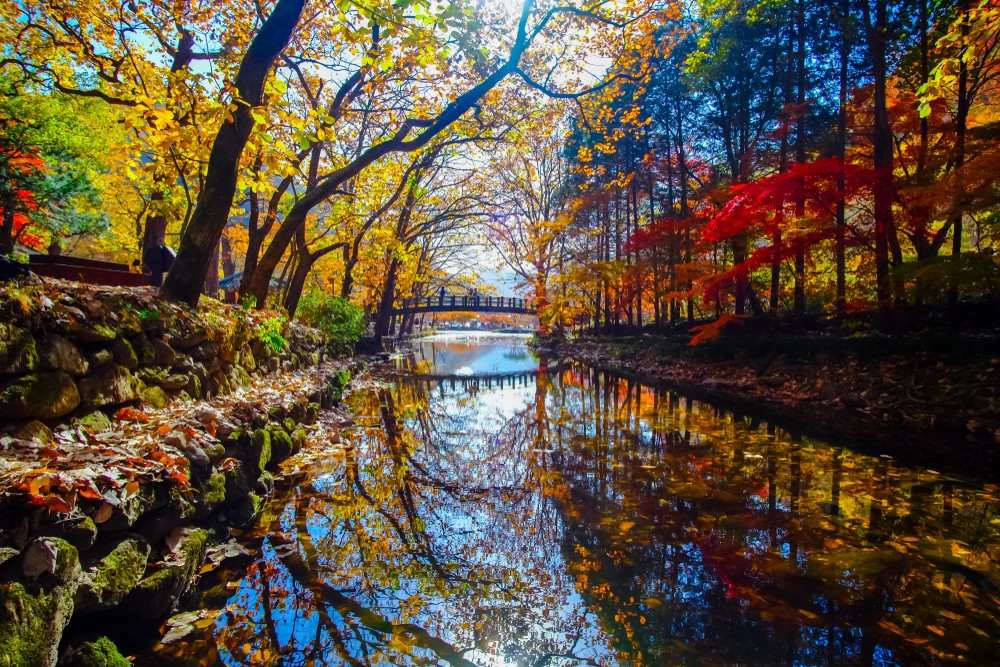 紅葉