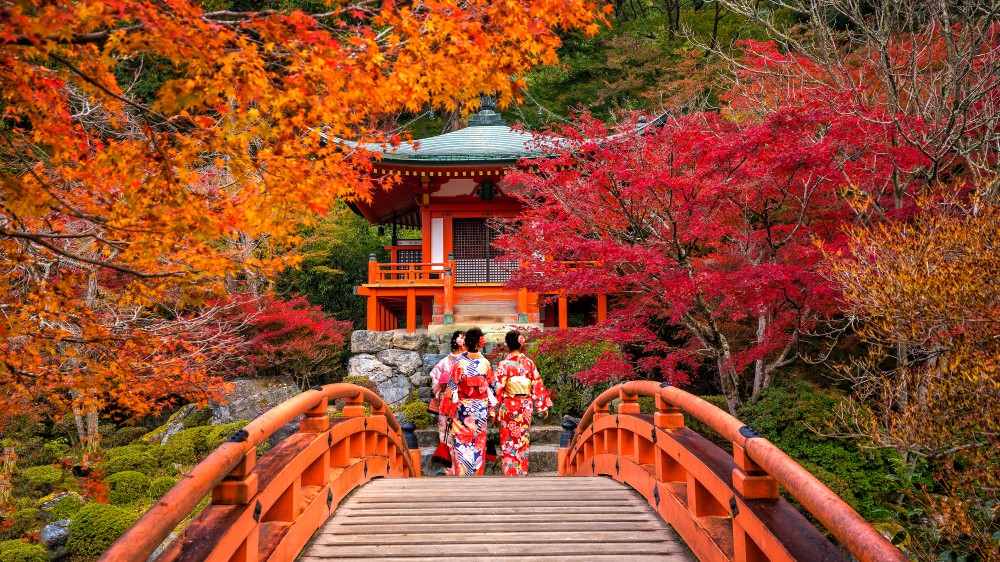 韓國日本溫泉楓葉