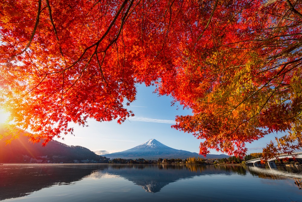 日本賞楓紅葉交通攻略