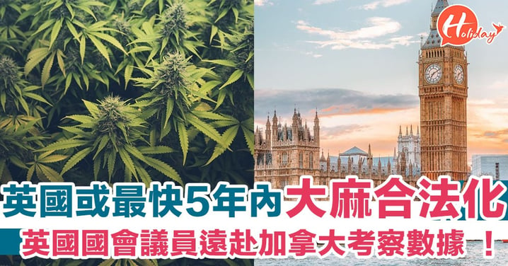 英國或最快5年內大麻合法化？！英國國會議員遠赴加拿大考察