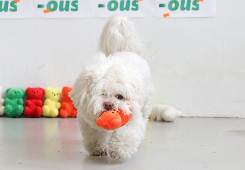 biteme 韓國 公仔 雜貨 熊仔糖