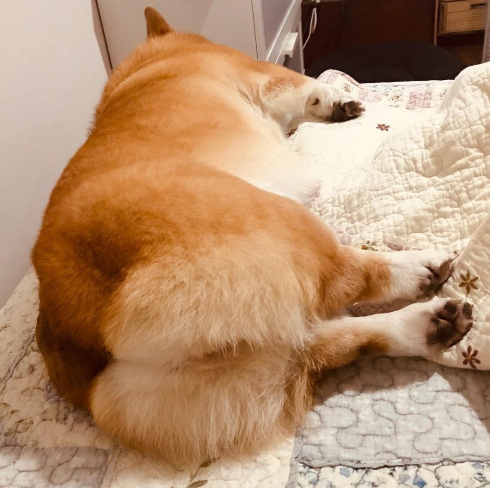 奶油先生Mr. Butter Café