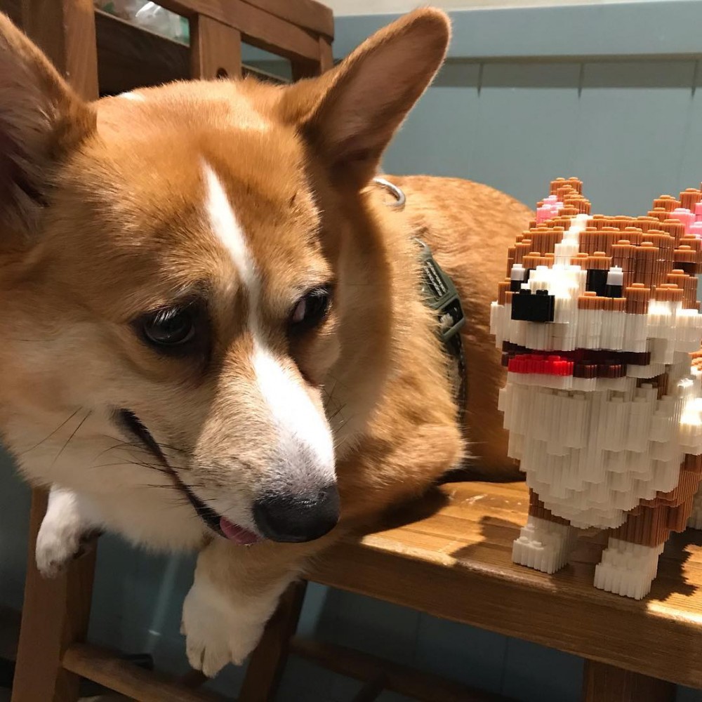 奶油先生Mr. Butter Café