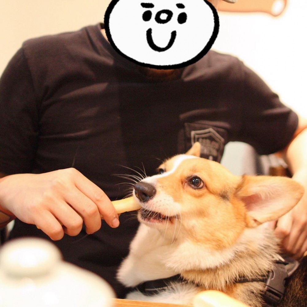 44276339_272824443344065_7438626107161078753_n