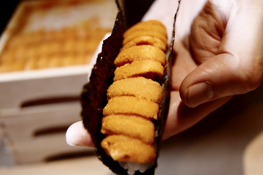 6. sea __urchin dog 6