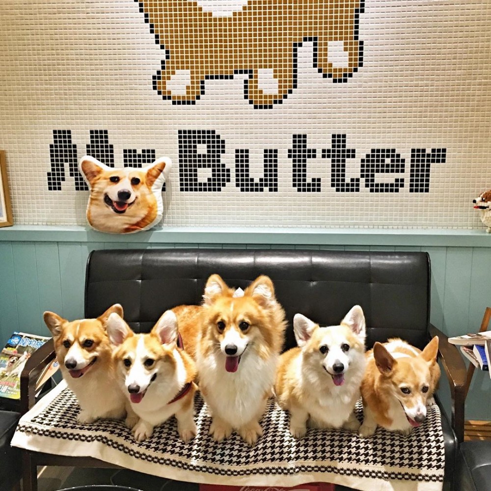 66464854_2350476118610607_2628610609556214980_n