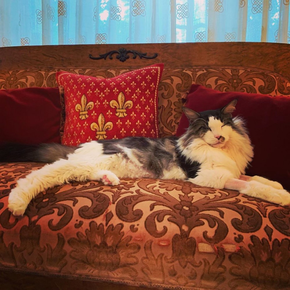 張敬軒 IG