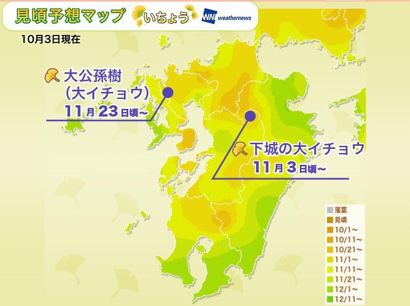 Weathernews
