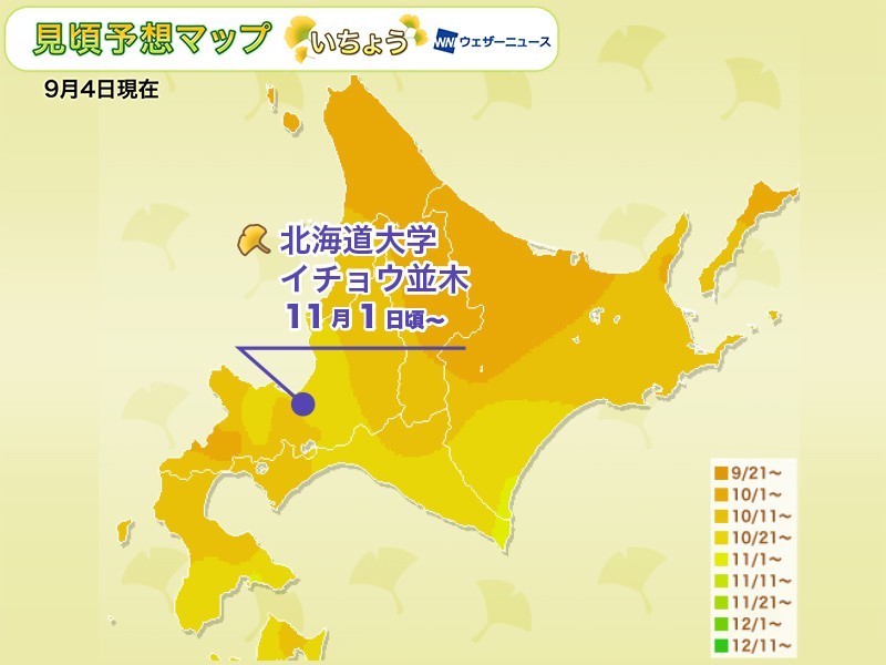 Weathernews