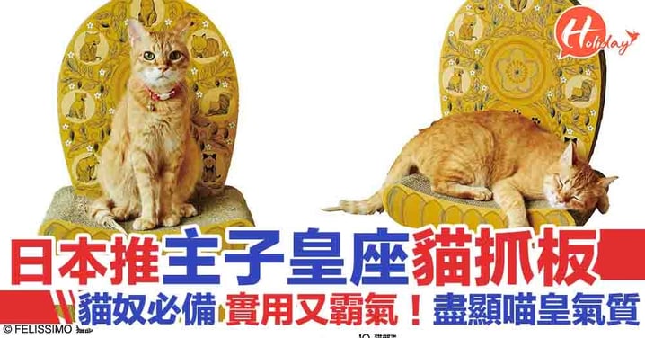 貓奴必備！日本推出主子皇座貓抓板 貓貓坐上秒變霸氣喵皇