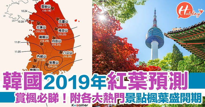 賞楓必睇！2019韓國紅葉預測 各大熱門景點楓葉盛開期一覽