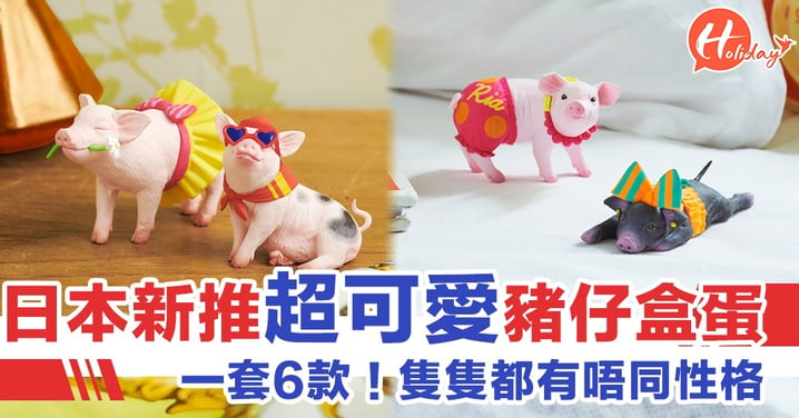 Cute爆！日本新推超可愛豬仔盒蛋 一套6款 隻隻唔同Style