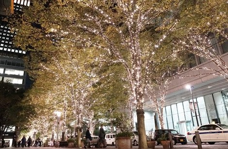 日本 東京 聖誕 燈飾 丸之內仲通