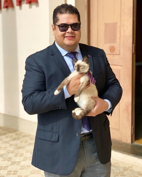 流浪貓 律師 巴西律師公會 員工