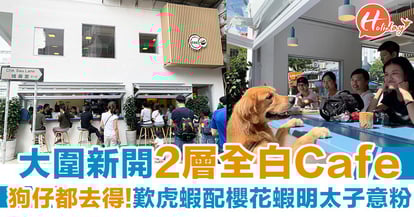 新店 大圍新開2層純白cafe 狗仔都去得歎招牌虎蝦配櫻花蝦明太子意粉 Holidaysmart 假期日常