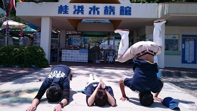 桂浜水族館員工倒立吸客