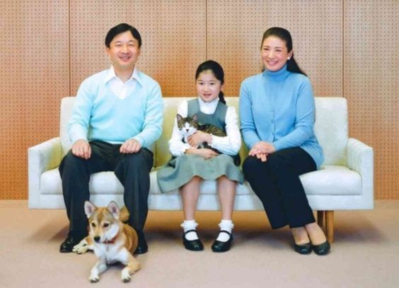 日本皇室飼養嘅寵物都係流浪貓狗雅子皇后愛心爆棚以領養代替購買 Holidaysmart 假期日常 日本皇室飼養嘅寵物都係流浪貓狗雅子皇后愛心爆棚以領養代替購買 Holidaysmart 假期日常