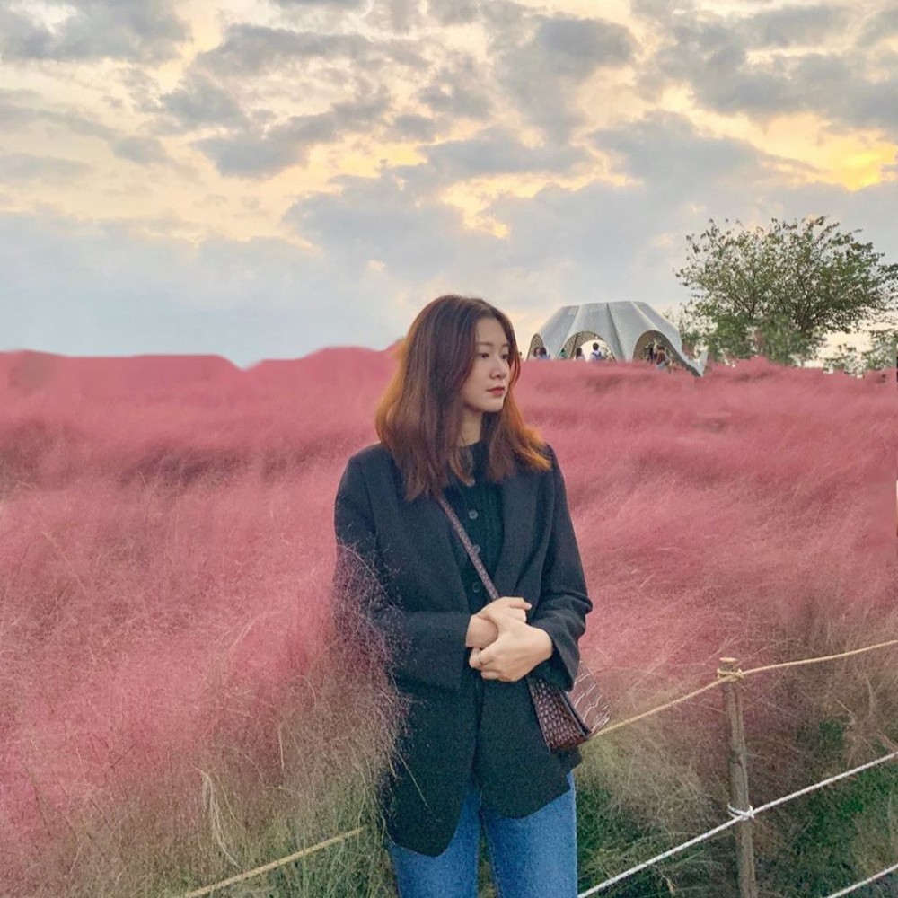 韓國天空公園粉紅芒草粉黛亂子草