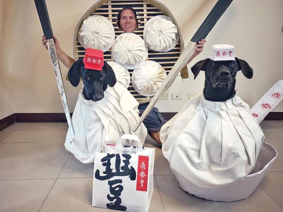 萬聖節2019台灣超狂外國人惡搞自家狗狗變成鼎泰豐小籠包
