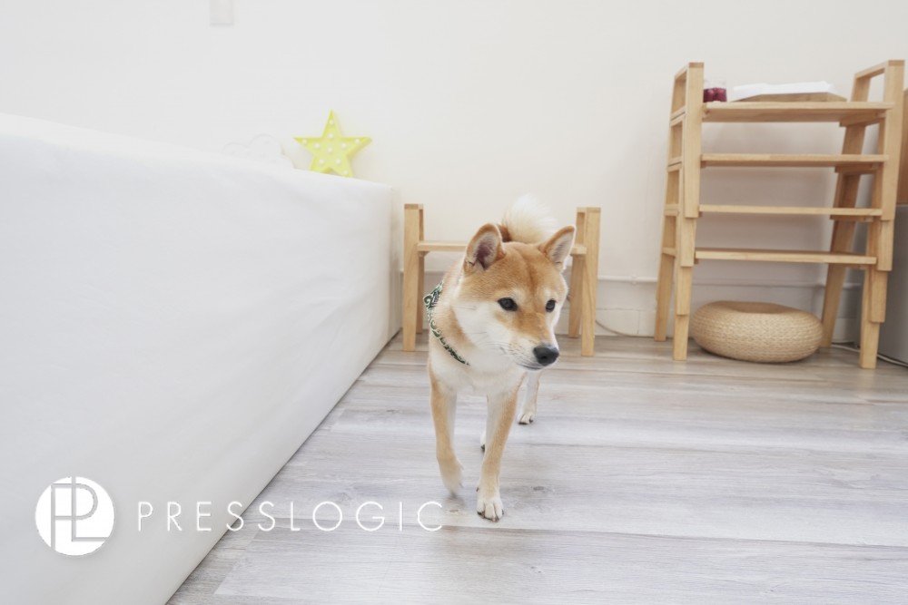DSC09181拷貝