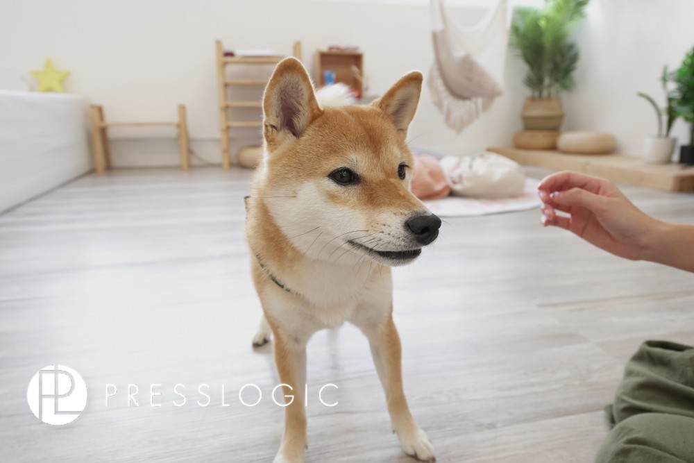 DSC09195拷貝