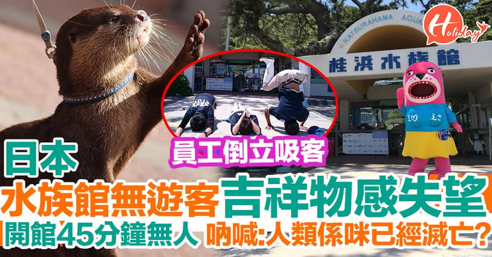 日本水族館遊客太少 員工倒立吸客 吉祥物失望：人類已經滅亡了嗎？