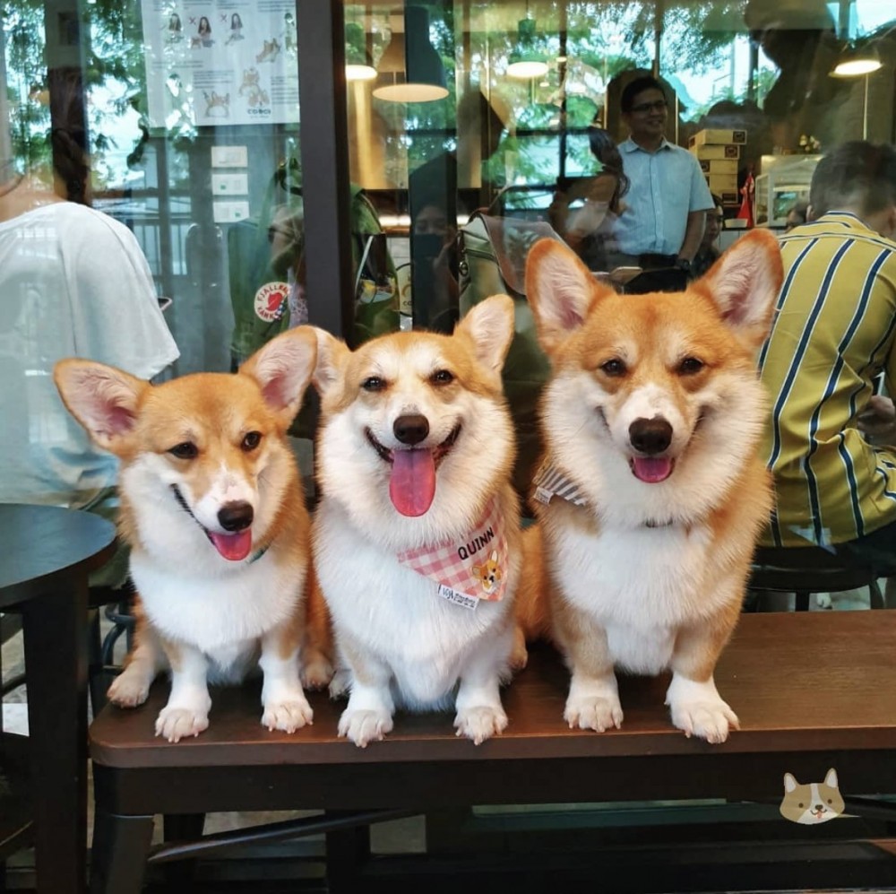 曼谷哥基主題cafe