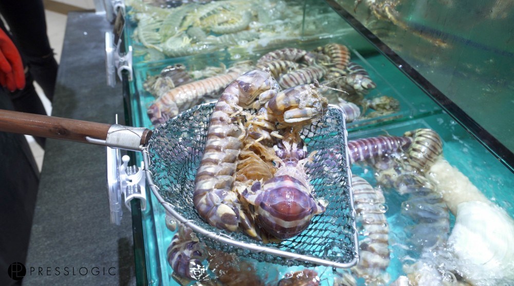 即買即煮, 慈雲山, 智能, 水產市場, 活海鮮