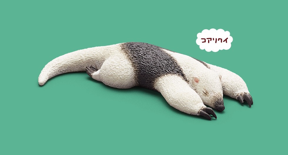 日本 扭蛋 動物睡覺