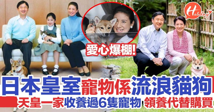 日本皇室飼養嘅寵物都係流浪貓狗 雅子皇后愛心爆棚以領養代替購買