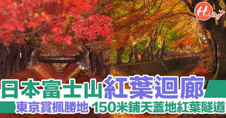 【日本紅葉2019】東京富士山紅葉祭 賞楓勝地河口湖紅葉迴廊