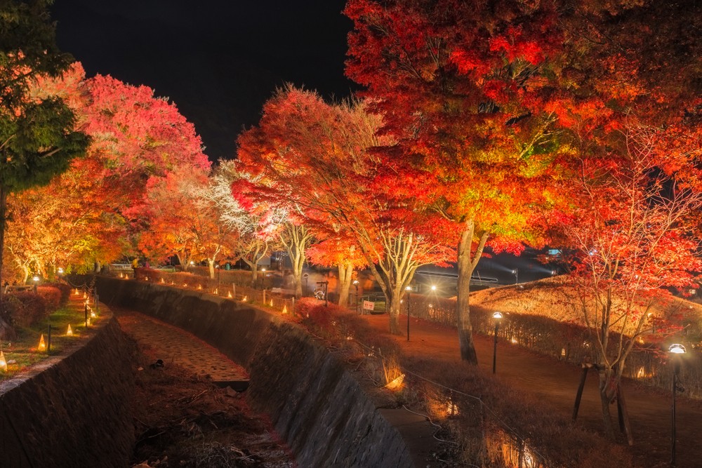 【日本紅葉2019】東京富士山紅葉祭 賞楓勝地河口湖紅葉迴廊