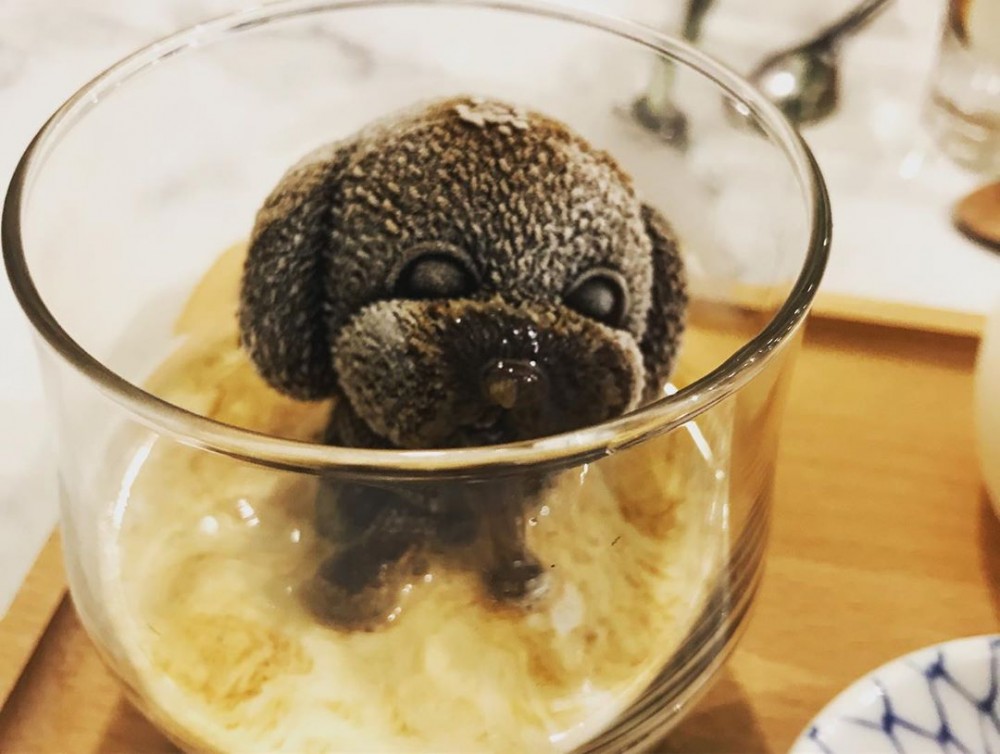 台灣 cafe 伍伍零 狗狗牛奶浴 