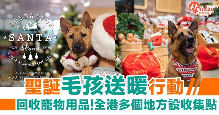 【聖誕好去處2019】聖誕毛孩送暖行動！回收寵物用品、玩具   全港多個地方設收集點