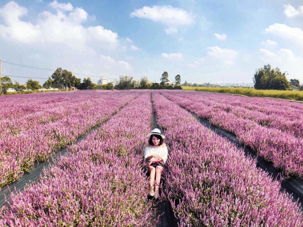 IG@jingyuy授權使用
