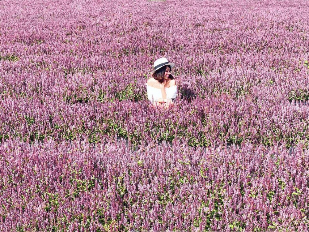 IG@jingyuy授權使用